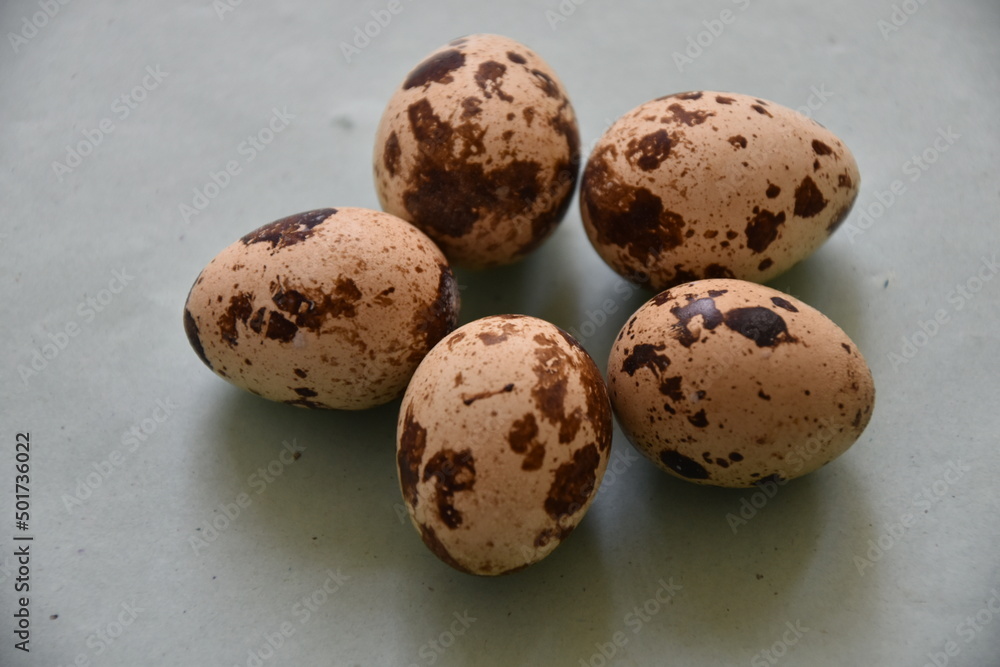 les oeufs de caille exposés en commerce les oeufs de caille exposés en commerce