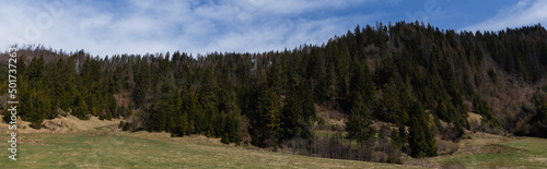 Trees on mountains with blue sky at background, banner.