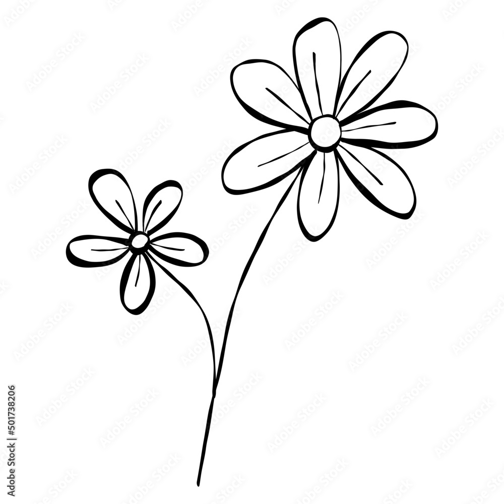 flowers, leaves, pots, line drawing, Line art. flowers, leaves, pots, line drawing, Line art.