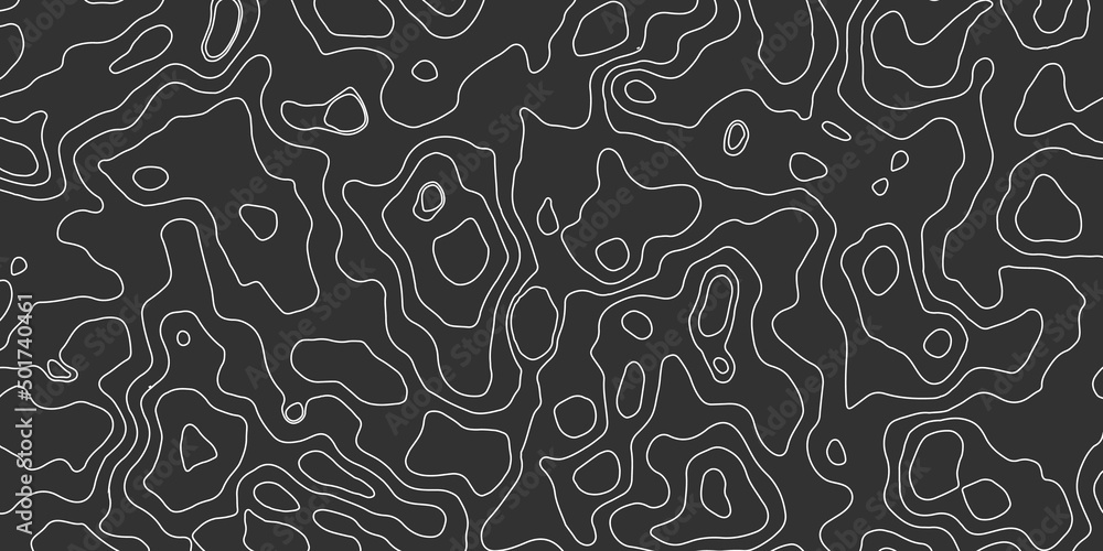 Fototapeta premium Background of the topographic map. Topographic map lines, contour background. The concept of a conditional geography scheme and the terrain path. Dark on black. Vector illustration.