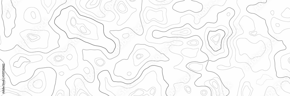 Topographic map. Panorama view geographic mountain relief. Abstract lines background. Contour maps. Vector illustration.