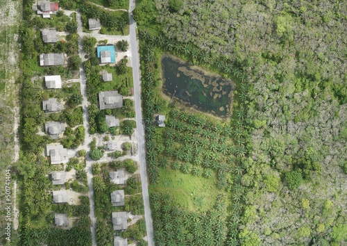 Top View Aerial Photograph of House in the Forest