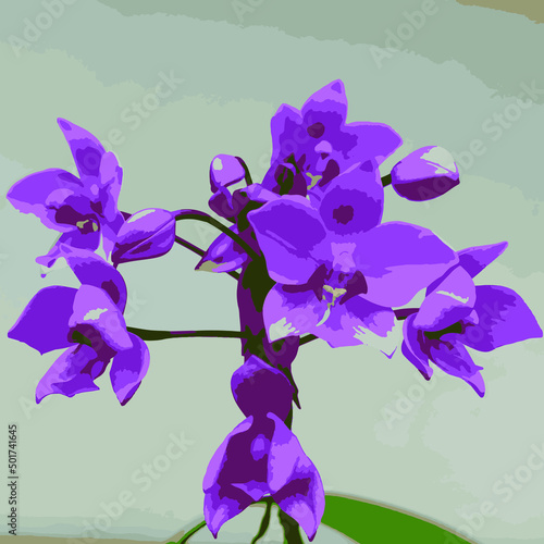 purple orchid flower