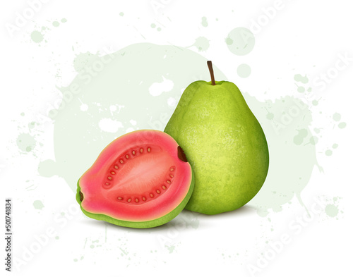 Green and Pink Guava fruit vector illustration with half piece of guava