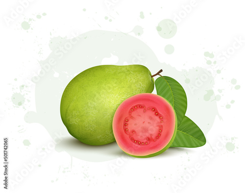 Whole Green Guava vector illustration with half piece of pink guava vector illustration with green leaves