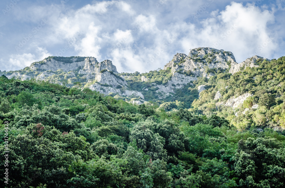 Rivers Pinios in the valley of Tempe - Greece. Rivers Pinios in the valley of Tempe - Greece.