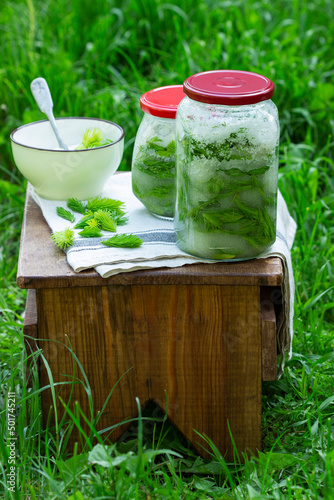 Jars of spruce sprouts and sugar, and ingredients for making syrup.