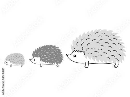 色々なポーズのおしゃれなハリネズミ　白黒