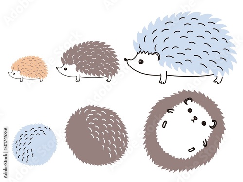 ハリネズミのイラスト