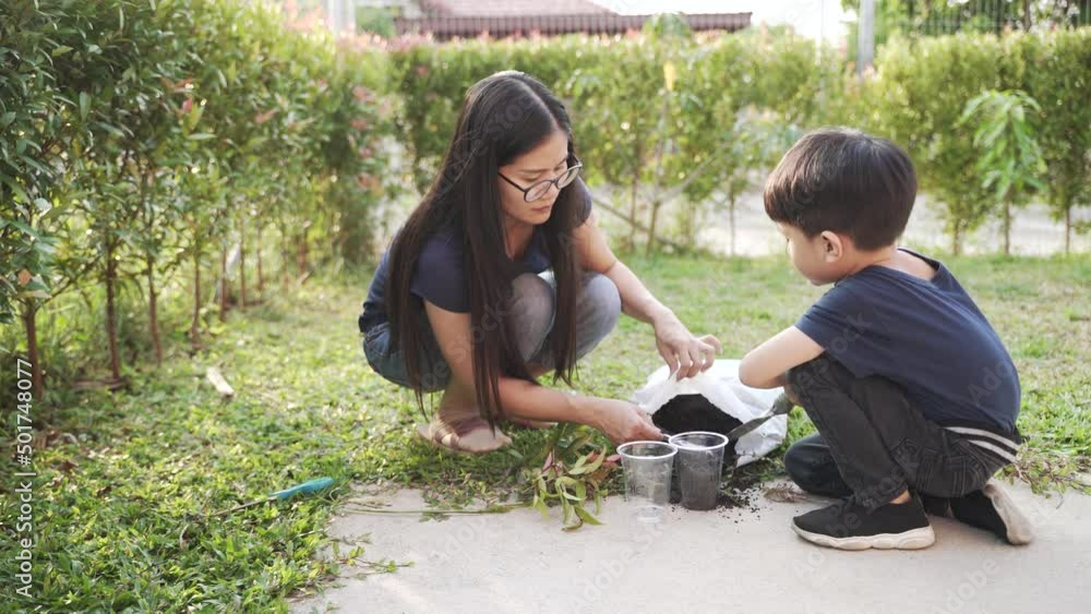 Asian mother helping her 5 years old son potting soil to the recycle plastic cup with handwriting letter for growing plant from Christina branch Asian mother helping her 5 years old son potting soil to the recycle plastic cup with handwriting letter for growing plant from Christina branch