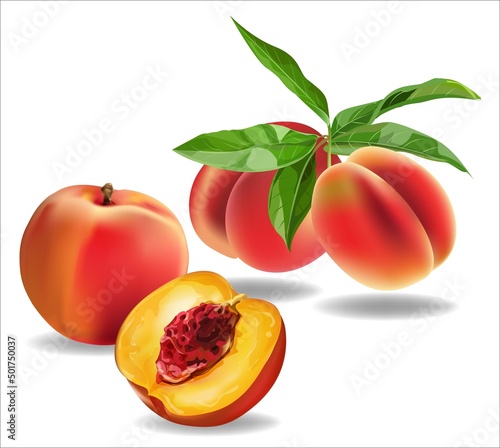 Peach fruits ,Whole fruit with leaf.vector illstration