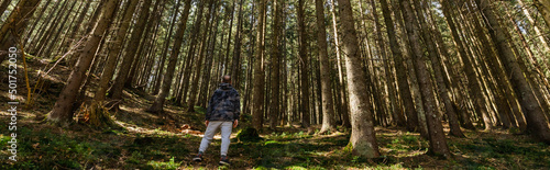Back view of tourist standing in evergreen forest, banner.
