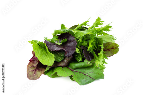 Raw fresh mixed salad on isolated white background photo