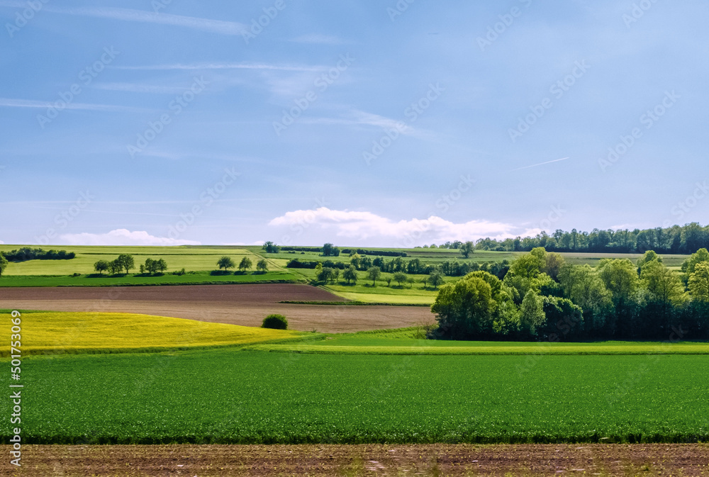German agricultural landscape with yellow rape seed field and green fields in late spring.