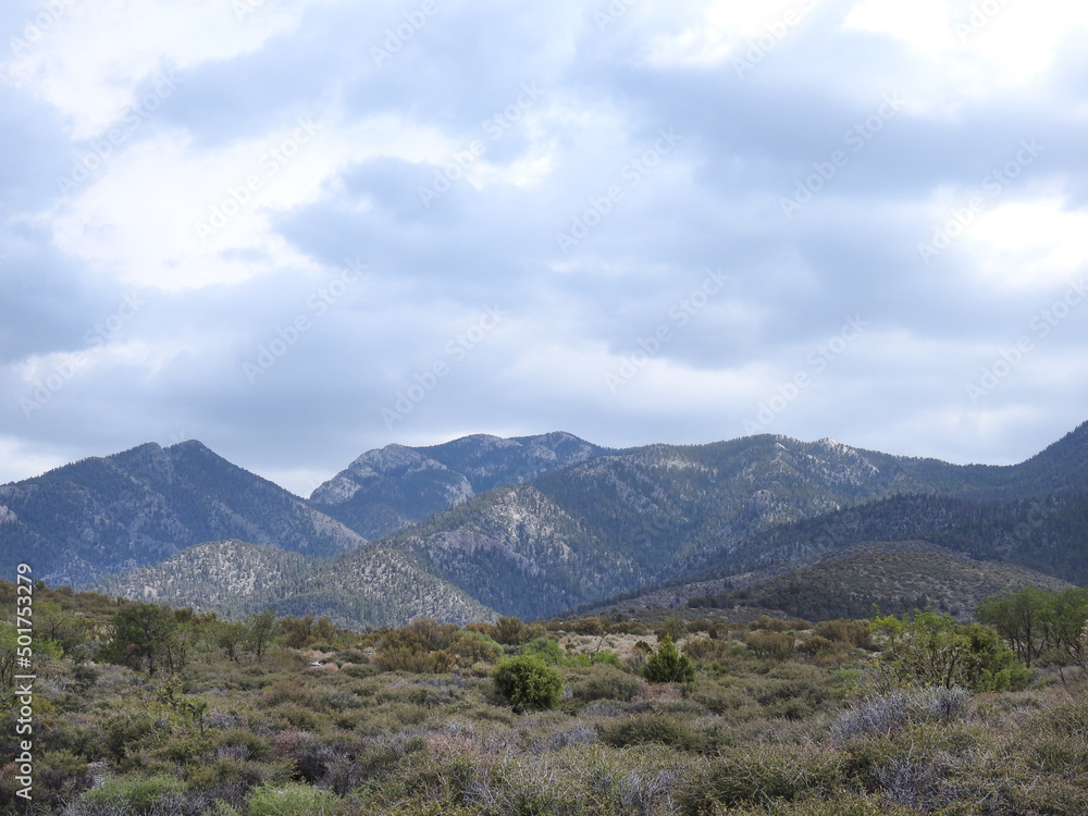 The beautiful scenery of the Spring Mountains National Recreation Area, Clark County, Nevada.