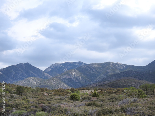 The beautiful scenery of the Spring Mountains National Recreation Area, Clark County, Nevada.