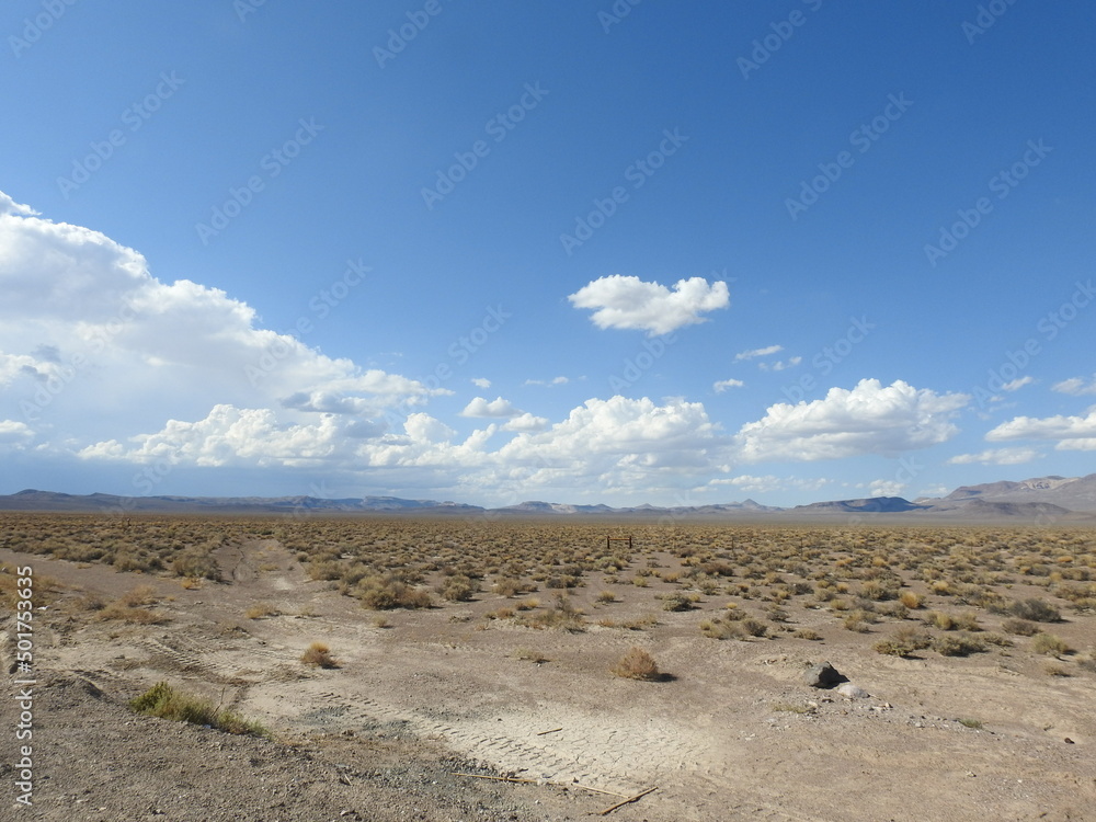 The beautiful Mojave Desert scenery in Nye County, Nevada.