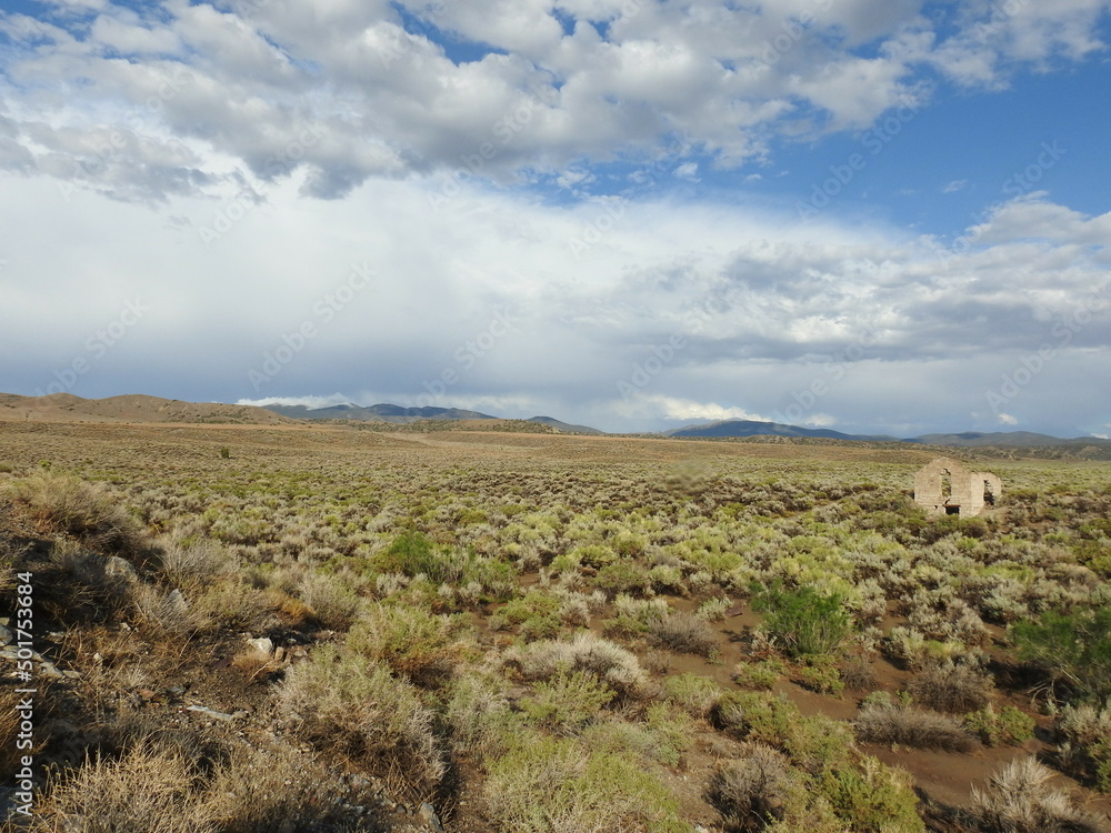 Palmetto Ghost Town ruins in the Mojave Desert, in  Esmeralda County, Nevada.