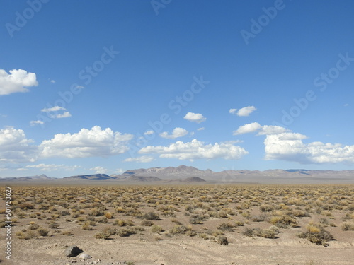 The beautiful Mojave Desert scenery in Nye County, Nevada. photo