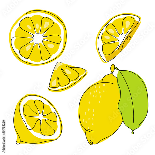 Set of citrus fruits, slice lemon element. Vector illustration collection tropical exotic food.