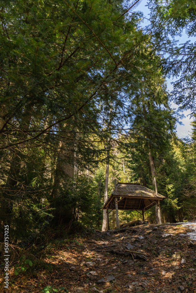 Naklejka premium Low angle view of wooden alcove on hill in forest in spring.