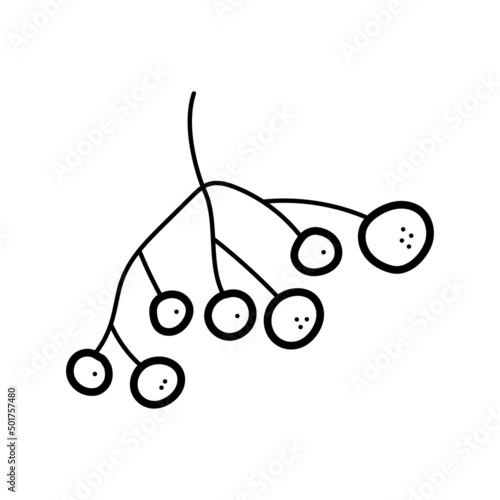 Twig with berries in a simple doodle style. Vector isolated illustration.