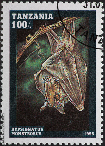 TANZANIA - CIRCA 1995: a postage stamp from TANZANIA, showing a Hammer-headed Bat (Hypsignatus monstrosus). Circa 1995 photo