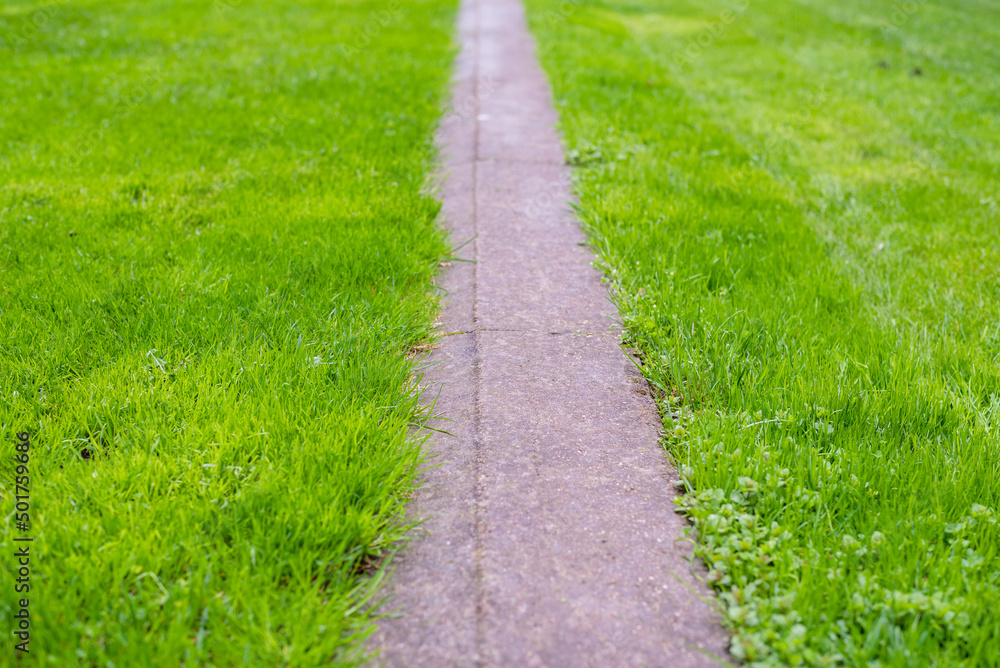 Green lawn and stone path. Close up Green lawn and stone path. Close up