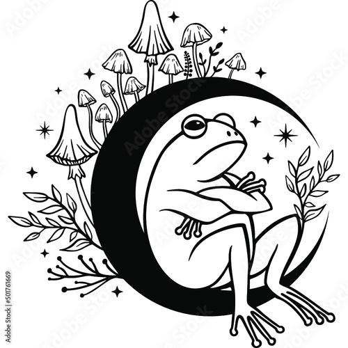grumpy funny frog with mushrooms moon and stars, Celestial Frog, Magic toad with moon