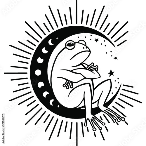 grumpy funny frog with moon and stars, Celestial Frog, Magic toad with moon