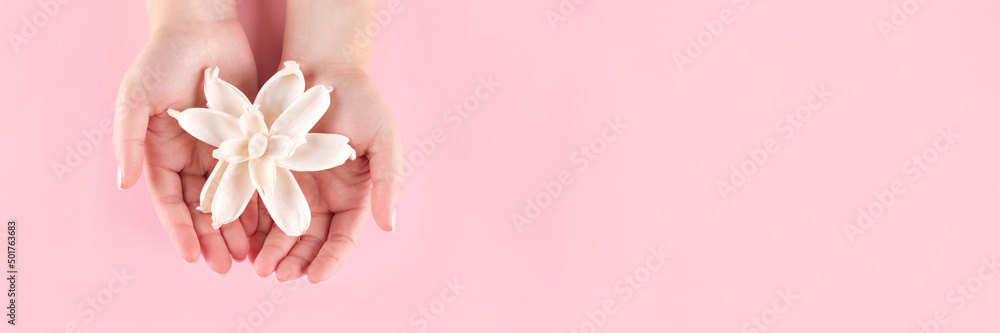 Female hands with beautiful natural manicure with white dried flower on pink background header. Wide screen, panoramic web banner with copy space for design