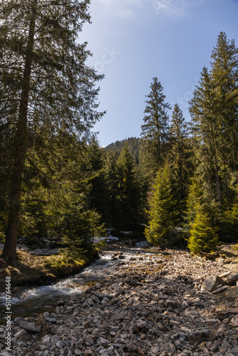 Stones on shore near river and mountain forest.