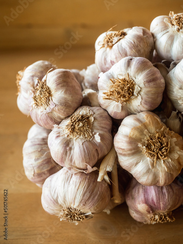 Closeup a bunch of dried garlic.