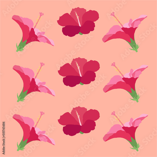 Beautiful hibiscus flowers Vector set of blooming tropical floral for holiday invitations, greeting card and fashion design Tropicania and exoticism