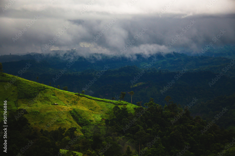 Fototapeta premium look deep into nature