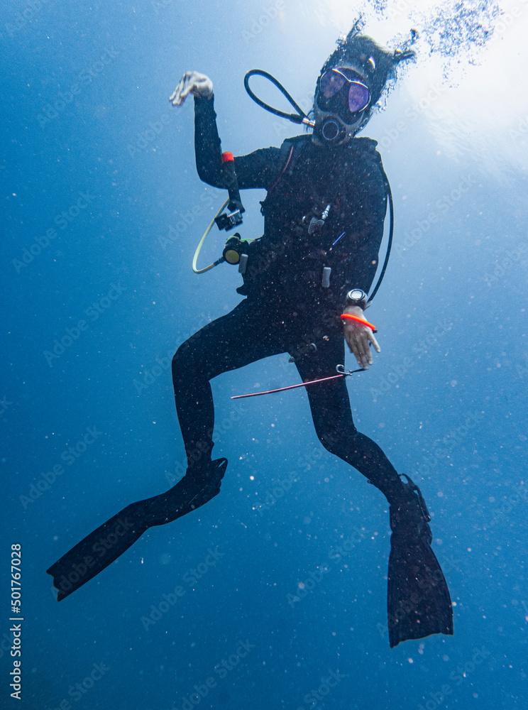 diver exploring the tropical waters around Koh Tao in Thailand diver exploring the tropical waters around Koh Tao in Thailand