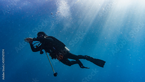 Wallpaper Mural diver exploring the tropical waters around Koh Tao in Thailand Torontodigital.ca