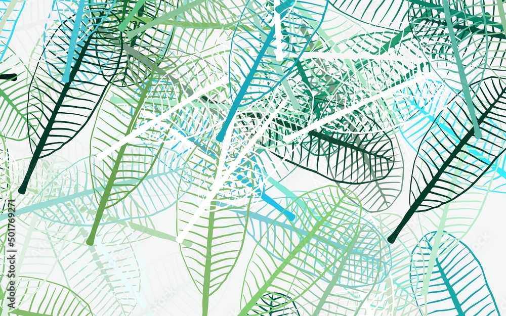 Fototapeta premium Light Blue, Green vector elegant background with leaves.