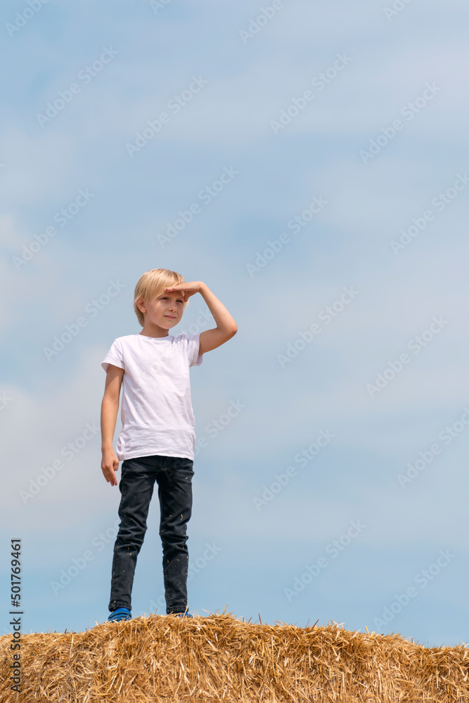 Blond boy of seven years old stands on pile of dry hay and puts his hand to his eyes looks into the distance. Summer holidays Blond boy of seven years old stands on pile of dry hay and puts his hand to his eyes looks into the distance. Summer holidays