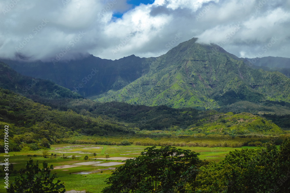 The beautiful lush jungles of Kauai, Hawaii, with green mountains rising in the distance underneath a cloudy sky, near Hanalei
