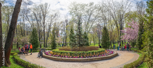 Elderly people admire the view of cherry blossoms in the Natalka park on Obolon  Kyiv  Ukraine.