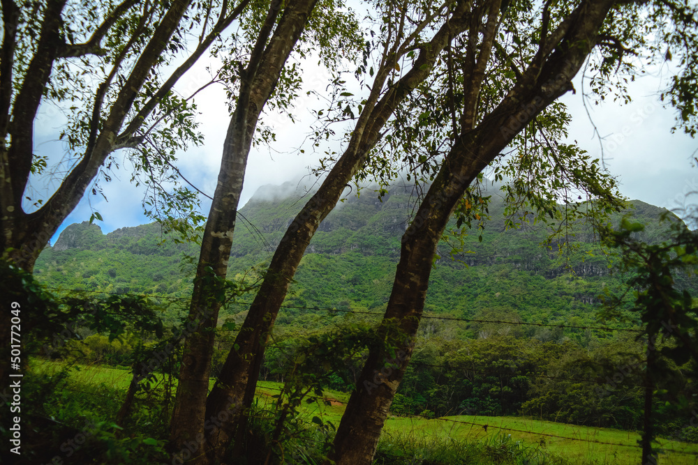 Mist and low clouds hang over the beautiful green mountains of Kipu on the Hawaiian Island of Kauai Mist and low clouds hang over the beautiful green mountains of Kipu on the Hawaiian Island of Kauai