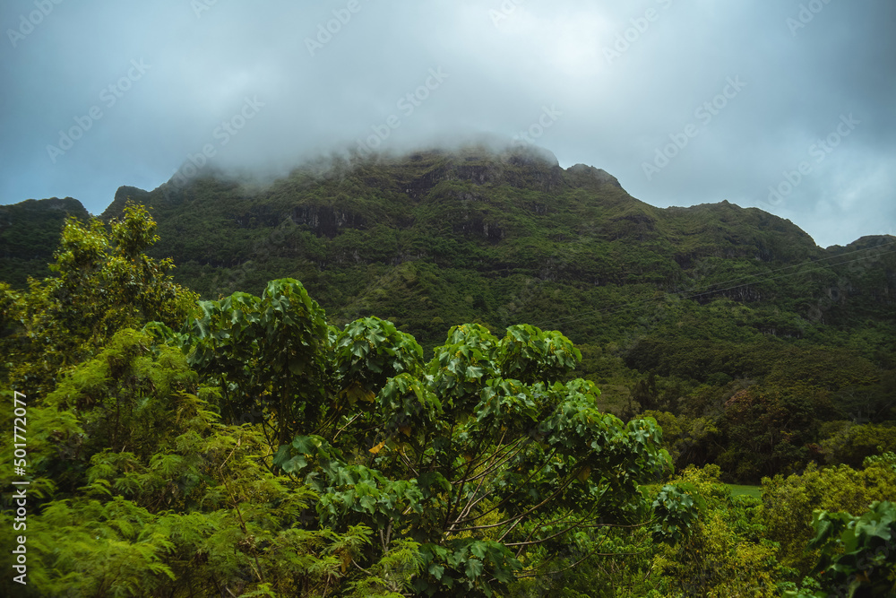 Obraz premium Mist and low clouds hang over the beautiful green mountains of Kipu on the Hawaiian Island of Kauai