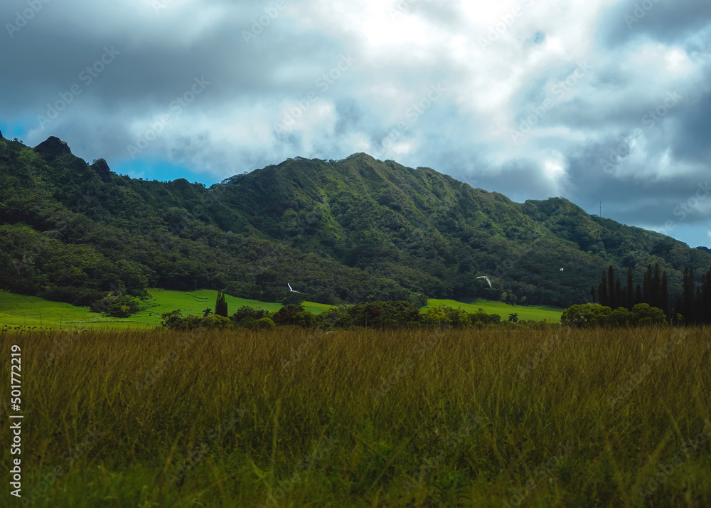 Mist and low clouds hang over the beautiful green mountains of Kipu on the Hawaiian Island of Kauai