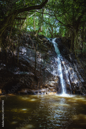 Fotótapéta Small, gently flowing jungle waterfall deep in the forest on the Kipu Ranch on t