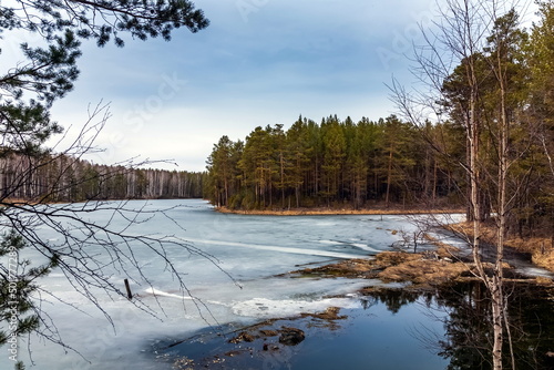 Spring landscape with a river, ice on the surface of the water, pines and birches on the banks