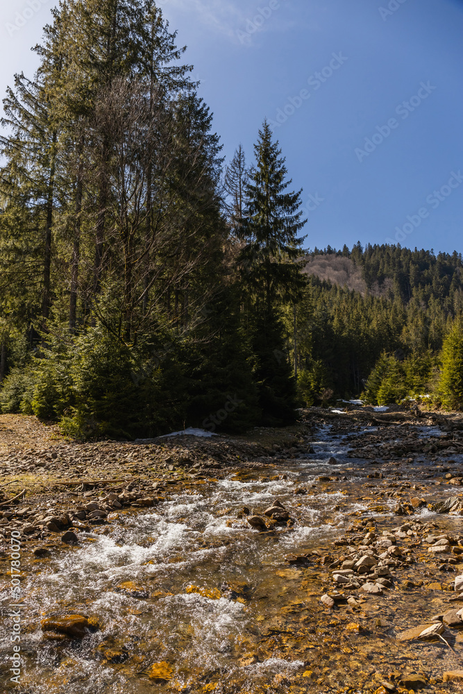Mountain river with stones and trees on shore with blue sky at background. Mountain river with stones and trees on shore with blue sky at background.