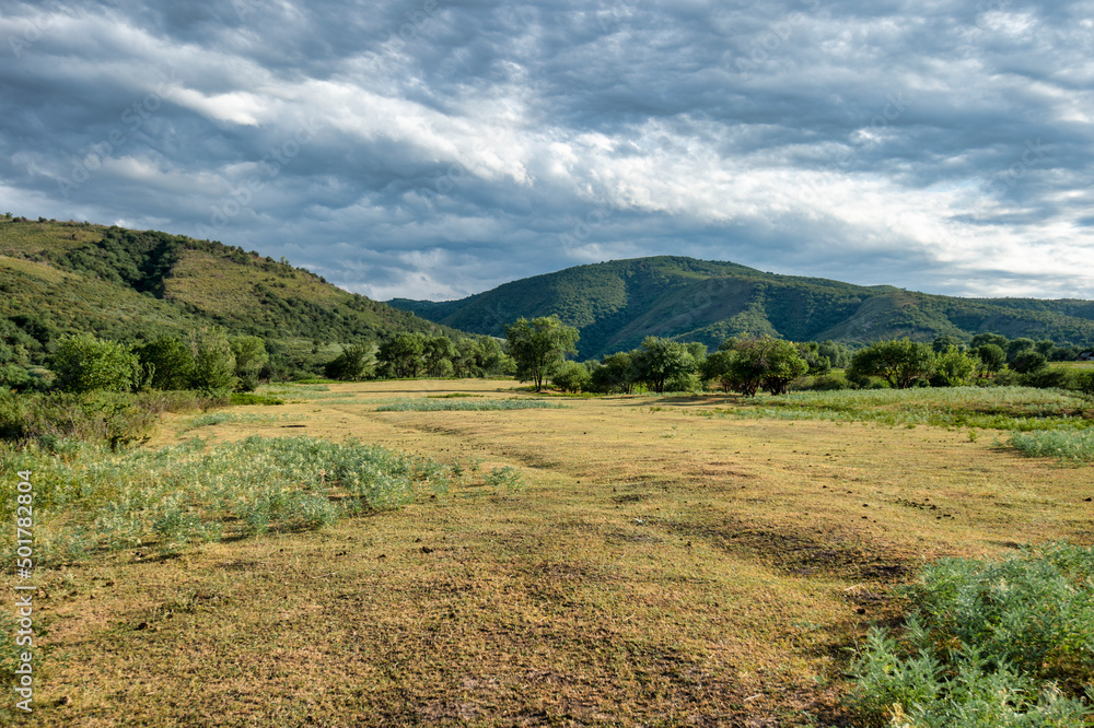 Fototapeta premium landscape in the mountains