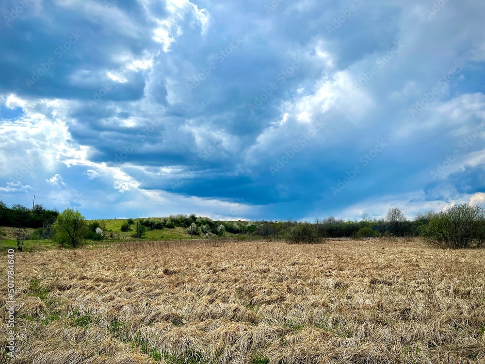 field of wheat field of wheat