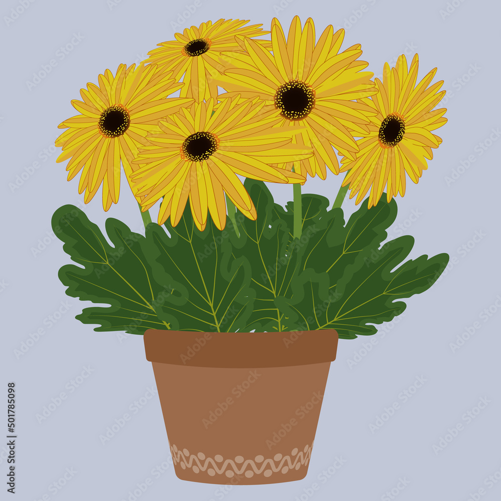 Obraz premium Gerbera flowers in a flower pot vector illustration.